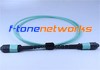 MTP, SMF, 24Core Fiber Patch Cord